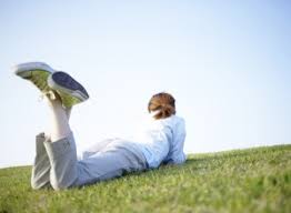 Mit der ruhe ist es nun vorbei. Die Beste Uhrzeit Zum Rasenmahen Rasenmaher Roboter Test