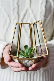 Brass Terrarium Candle Holder Terrarium Candle Holder Terrarium Glass Display Box