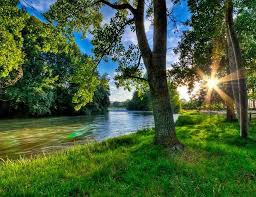 Ribera Del Rio Ebro Naturaleza Vida Y Biodiversidad El Rio Mas Caudaloso De Espana Discurre Por Las Localidades Aragonesas De Novilla Paisajes Zaragoza Ebro