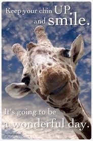 Random Thoughts Quotes And Pearls Of Wisdom Giraffe Cute Animals Animals