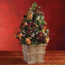 Woodland Mini Christmas Tree Live Tabletop Christmas Trees Delivered Live Christmas Trees Mini Christmas Tree Tabletop Christmas Tree