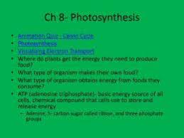 Cell biology chapter exam instructions. Ch 10 Photosynthesis Study Guide Answers Free Online Guide For Kindle