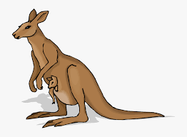 No need to register, buy now! Kangaroo Clipart Free Clipart Images Chronological Report About Kangaroos Hd Png Download Kindpng