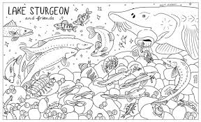 Searching for a coloring page? Michigan Sea Grant On Twitter Purple Sturgeon Why Not These Cute And Educational Coloring Pages Highlight Greatlakes Species Https T Co Yj6z3atfkn Tinywaterbear Https T Co Sjq82rdgfa