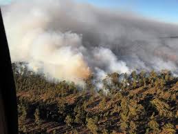 Check spelling or type a new query. El Incendio De Tenerife Estabilizado Tras Calcinar 350 Hectareas