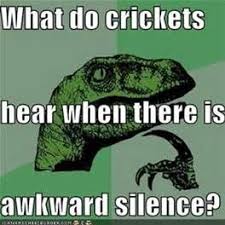 Your browser does not support the video tag. Crickets Meme Crickets Meme Memes Haha So True