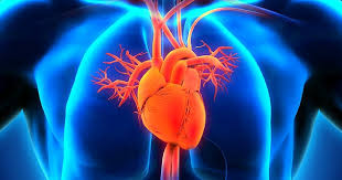 Por fi afectate partea stanga, dreapta, sau chiar ambele parti ale corpului. Ce Impact Are InsuficienÈa CardiacÄ Asupra Pacientului Raportul De GardÄ