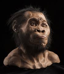 Convivió este misterioso hombre-simio con nuestros antepasados? | National  Geographic