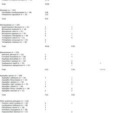 PDF) Multi-Center Evaluation of the VITEK MS v3.0 System for the  Identification of Filamentous Fungi