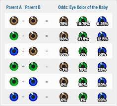 Eye Color Percentage Chart Album On Imgur Wtf Fun Facts Fun Facts Weird Facts