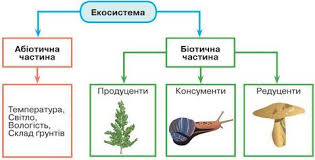 Екосистема. Різноманітність екосистем » mozok.click