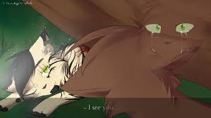I See You By Eucalyptus Splash Warrior Cats Warrior Cat Memes Warrior Cats Art