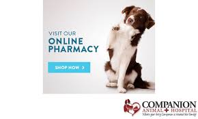 We did not find results for: Veterinarian In Las Vegas Nv Companion Animal Hospital