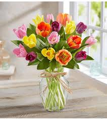It is also the home of some of the world's most gorgeous flowers. Timeless Tulips Jacksonville Fl Florist
