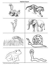 Plus, it's an easy way to celebrate each season or special holidays. Animal Clipart Worksheets