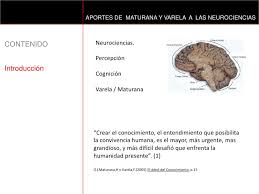 They went further and postulated theories concerning the nervous system and the. Neurociencias Aportes De Varela Y Maturana