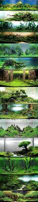 Diy Fish Tank Decorations Themes Aquascaping Fresh Water Decor Ideas Small Aquascaping Homemade Creative Aquas Aquascaping Akvaryum Baligi Tatlisu Akvaryumu