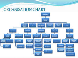 0rganisation Of Pharmaceutical Industry