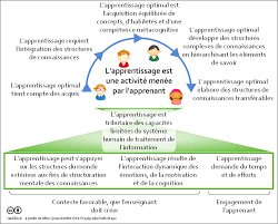 Que Nous Dit La Recherche Sur L Apprentissage Apprentissage Comment Etudier Apprendre