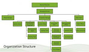 Cocoguru Organization Structure