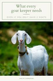 10 Must Have Items For Goats Farm Lifestyle Goats Goat Care