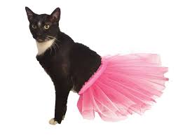 Tutu.travel is the most popular travel website in russia. Pink Cat Tutu Pet Costume Center