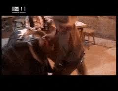 Aufrufe 2,4 mio.vor 2 years. Best Malnar Gifs Gfycat