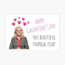 Check out these romantic valentine's day quotes and sayings to help you write a heartfelt card for your 54 heartfelt and romantic valentine's day quotes to express your love. Parks And Rec Leslie Knope Galentines Day Quote Gifts Presents Sticker Packs Cool Cards Comedy Parody Humor Puns Banter Greeting Card By Avit1 Redbubble