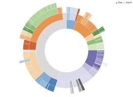 Sunburst Source D3 Js Visualisation Infographic Ui Ux