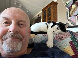 carefree life of pets