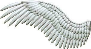White Angel Wings Png Transparent Background Free Download 36438 Freeiconspng