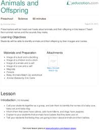 Animals And Offspring Lesson Plan Education Com Lesson Plan Education Com Preschool Lesson Plans Lesson Plans Science Lesson Plans