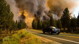 They are not limited to a particular continent or environment. Zuqy I0alqnkvm