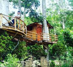 Lokasi Dan Harga Tiket Masuk Taman Kelir Kediri Persembahan Wisata Terbaru Dari Kota Tahu Http Www Dakatour Com Lokasi Dan H Rumah Pohon Arsitektur Rumah