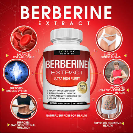 Berberine HCl | Blood Sugar & Metabolic Support Supplement | Toplux – Toplux  Nutrition