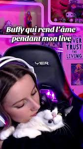 Buffy The Bomber Zain Kayani Live