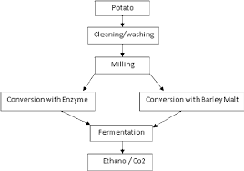 Flow Diagram Of Ethanol Production From Potato Download