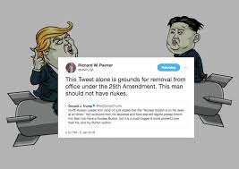 The first amendment gives you the right to say what you want, but the second amendment gives me the right to shoot you for it. published in: Fmr White House Lawyer Trump S Nuclear Button Tweet Is Grounds For Removal Under 25th Amendment Law Crime