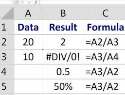 How Do You Calculate Percentages And Perform Division In Excel Excel Complex Numbers Nouns Worksheet