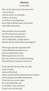 Dogs Teaching Us Humans How To Live Again Free Verse Poems Poems Words