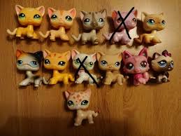 If you'd like to s. Lps Shorthair Cat Cheap Cheap Online