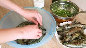 We did not find results for: Marinated Shrimp Female Hands Pickle Stock Footage Video 100 Royalty Free 1056121418 Shutterstock