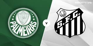 The king of south america will be crowned on saturday as the copa libertadores final takes place in brazil between two clubs from the country, santos and palmeiras haven't won the title since 1999. Palmeiras Vs Santos Prediction And Betting Tips Mrfixitstips