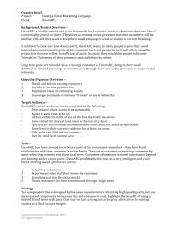 This type of brief defines the different attributes for a specific business project. 32 Free Creative Brief Templates And Examples Pdf Doc Examples
