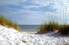 Do foster parents in florida have a right to contest removal of foster children from their home? Adoption In Florida Fl Adoption Agencies And Laws Considering Adoption