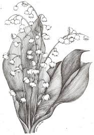 Stuff On Pinterest Lilies Vintage Greeting Cards And Bluebirds Flower Drawing Flower Sketches Lily Of The Valley