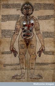 Human body parts tamil and english / human parts in tamil : Body Parts Name In Sanskrit With Picture