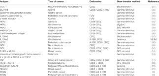 tumor 1 oncoprotein stimulate cd4+ and cd8+ t cells that recognize and kill human. A Summary Of Solid Tumor Antigens Being Targeted Using Car T Cell Download Table