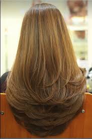 Bird With Long Hair On Head Pin By Suvarna Reddy On Birds Long Hair Styles