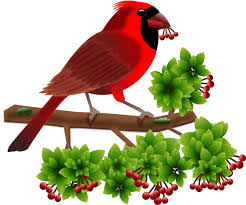 Menempatkan foto atau gambar ke dalam tulisan (tek. Gambar Burung Cililinformat Png 700 Gambar Burung Png Paling Keren Gambar Id Png Gambar Pixabay Unduh Gambar Gambar Gratis Unduh Gambar Gambar Gratis Yang Menakjubkan Tentang Png Untuk Digunakan Gratis